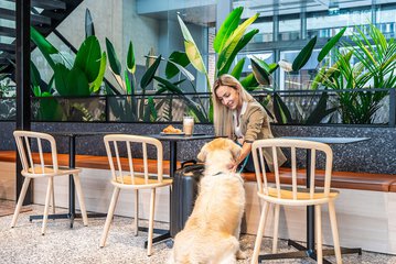 Lobby sitting area