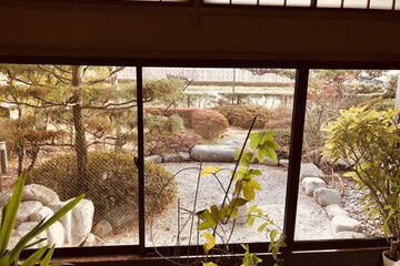 Garden view