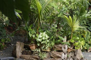 Photo 24