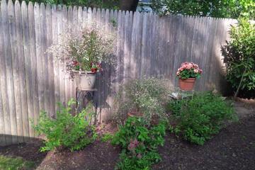 Photo 39