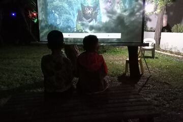 Children's activities