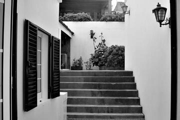 Photo 34