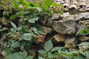 Photo 71