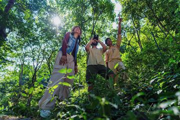 Ecotours