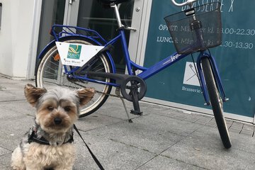 Bicycling