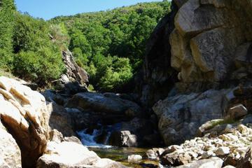 Photo 32