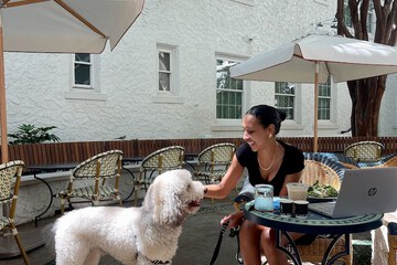 Pet-friendly