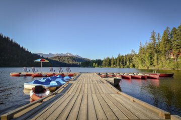 Dock