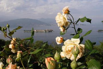 Photo 40