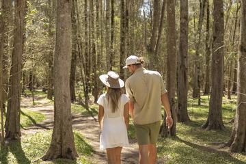 Outdoor wedding area