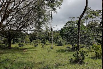 Ecotours