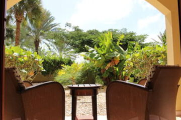Terrace or Patio