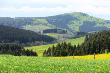 View from property