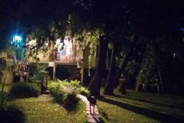 Photo 51