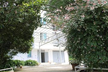 Photo 46
