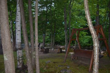 BBQ/picnic area