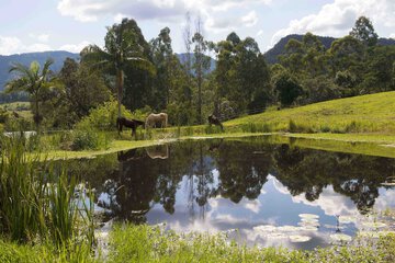 Lake view