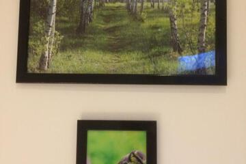 Photo 43