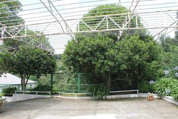 Photo 33
