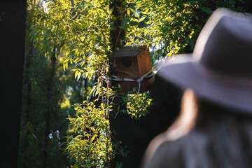 Game viewing