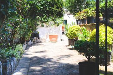 Photo 39