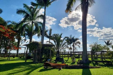 Outdoor wedding area