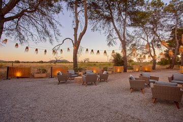 Outdoor wedding area