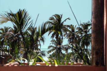Land view from property
