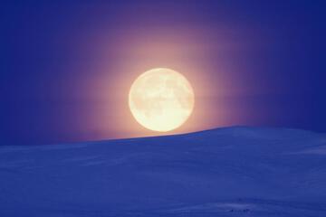 Photo 50