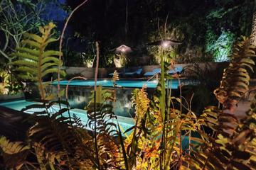 Photo 44