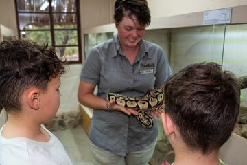 Children's activities