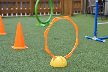 Pet-friendly amenities