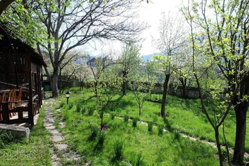 Photo 37