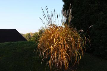 Photo 36