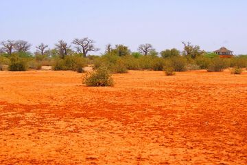 Desert view