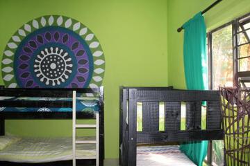Photo 51