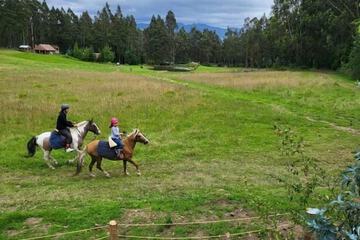 Horseback riding