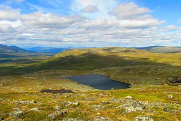 Photo 30