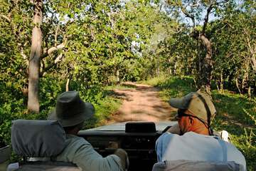 Game drive
