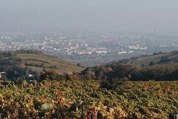 Land view from property