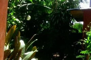 Photo 90