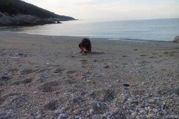 Photo 43