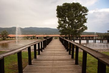 Dock