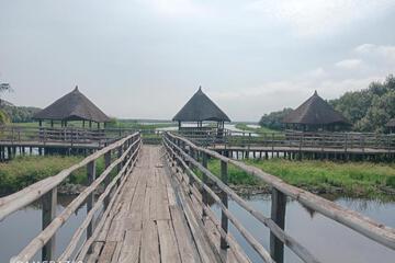 Photo 47