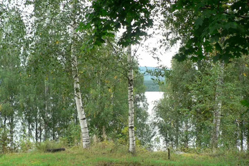 outside