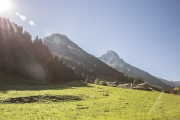 Hiking