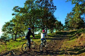 Bicycling