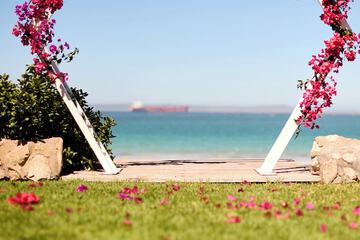 Outdoor wedding area