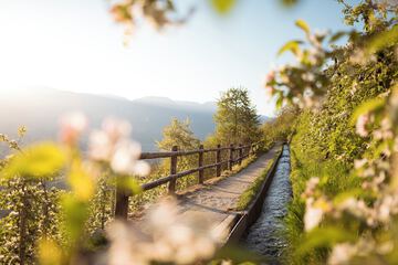 Hiking