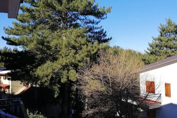 outside